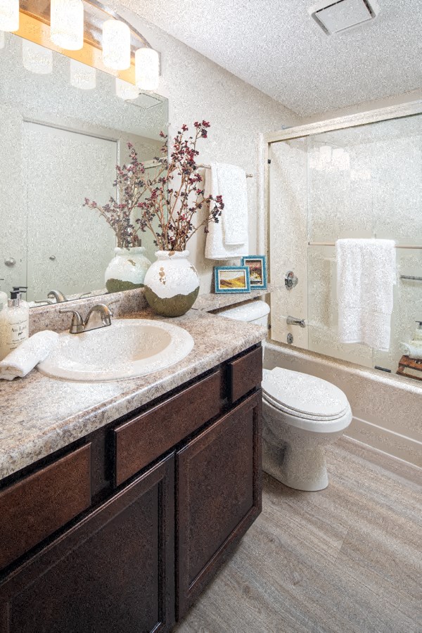 a bathroom with a sink and a toilet and a shower