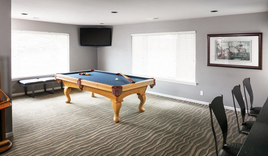 an entertainment room with a pool table and a tv