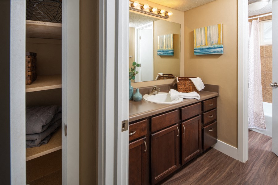 a bathroom with a sink and a mirror