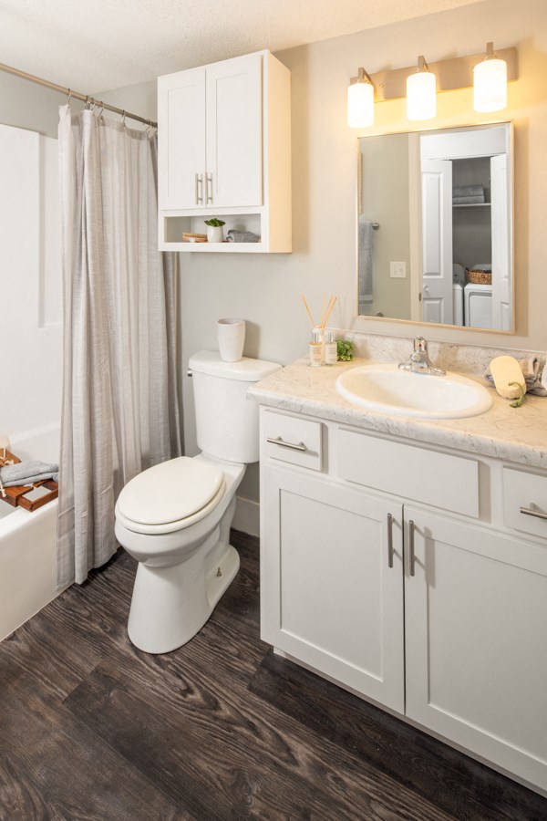 a bathroom with a toilet and a sink and a shower