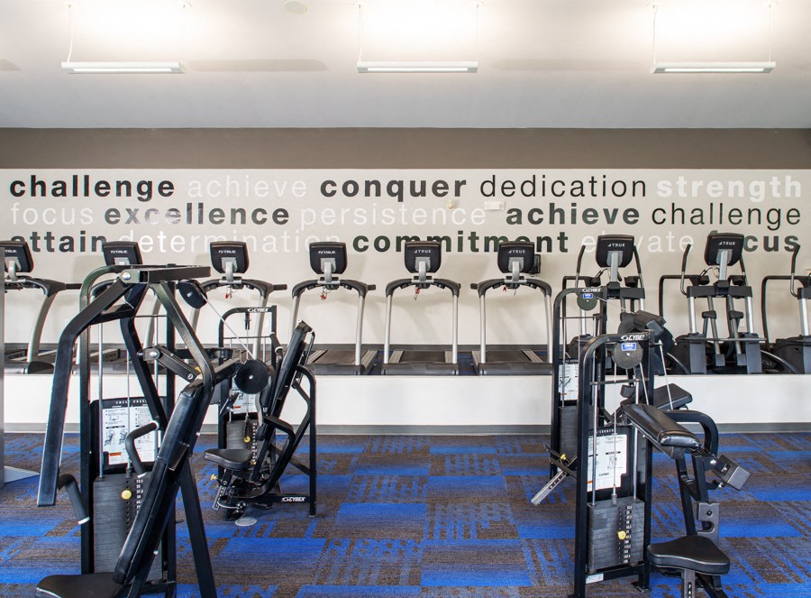 a row of exercise machines in a gym