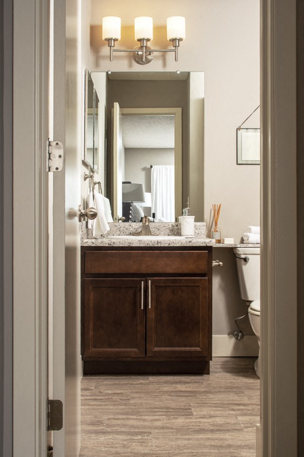 a bathroom with a sink and a mirror and a toilet