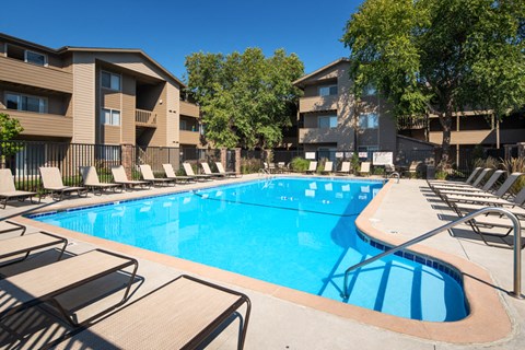 our apartments have a large pool and lounge chairs
