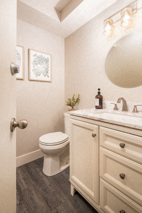 a bathroom with a toilet and a sink and a mirror