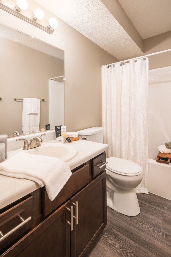 the preserve at ballantyne commons apartment bathroom with sink toilet and shower