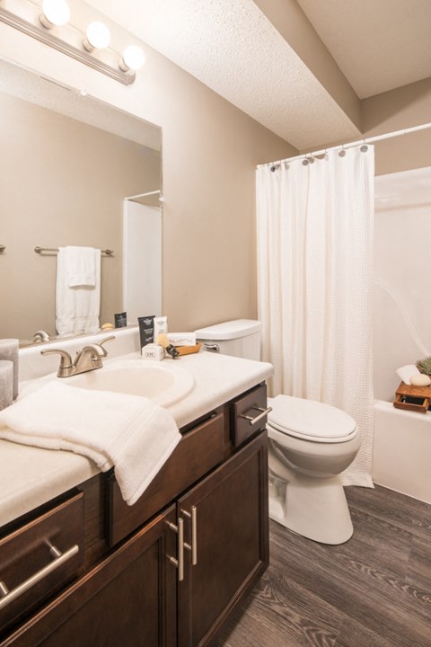 the preserve at ballantyne commons apartment bathroom with sink toilet and shower