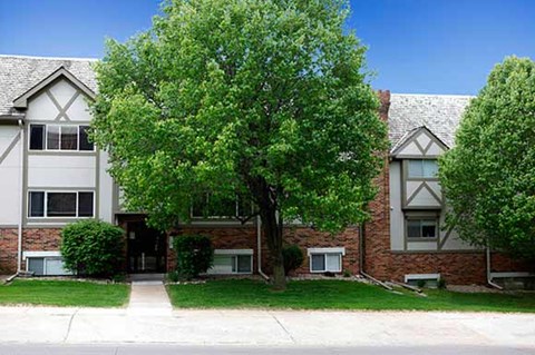 a tree in front of an apartment building