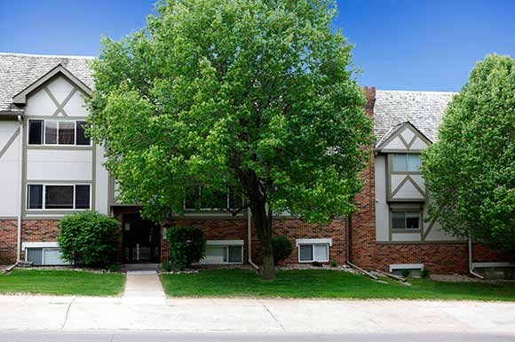 a tree in front of an apartment building