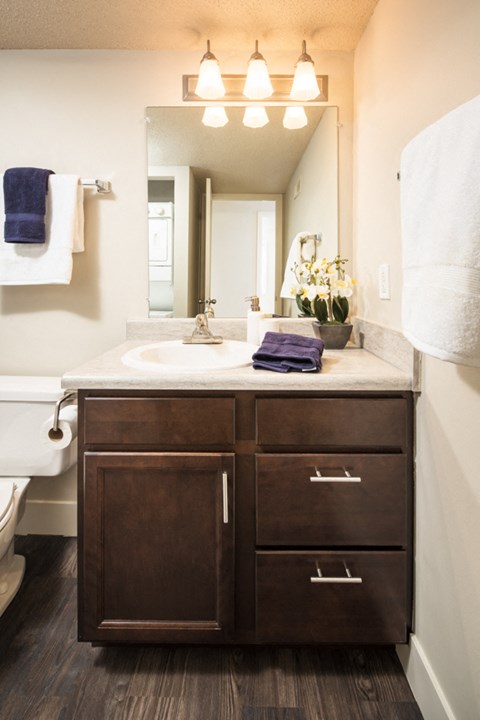 a bathroom with a sink and a mirror and a toilet