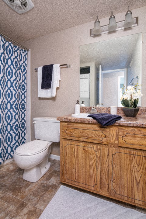 a bathroom with a toilet and a sink and a mirror
