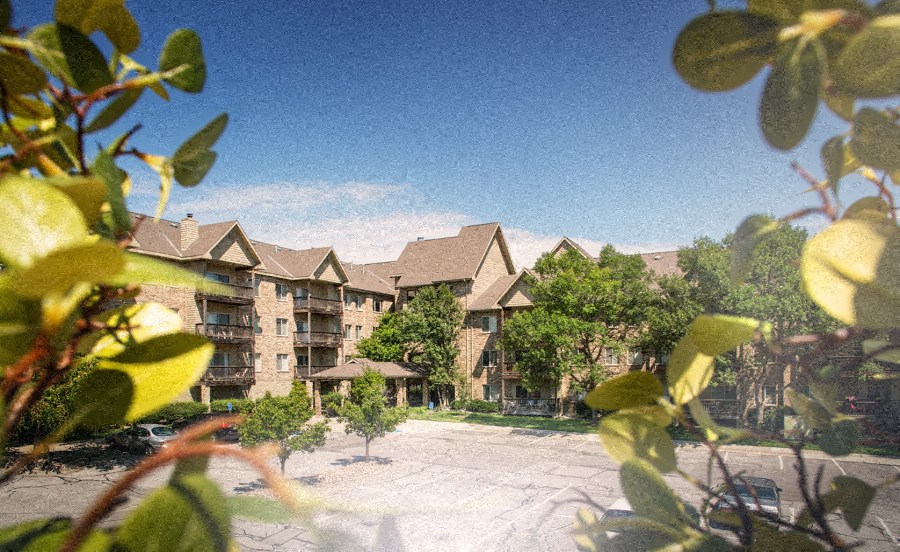 a view of an apartment building from a tree