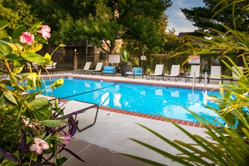 9226 Burt Street 1-3 Beds Apartment for Rent - Photo Gallery 6