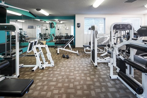 a gym with cardio equipment and weights on a wooden floor