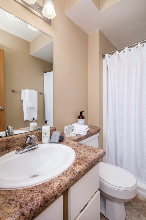 a bathroom with a sink and a toilet and a mirror