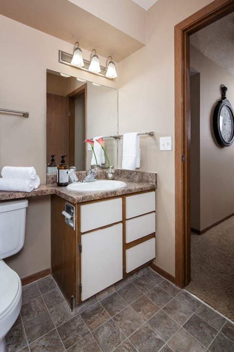 a bathroom with a sink and a toilet and a mirror