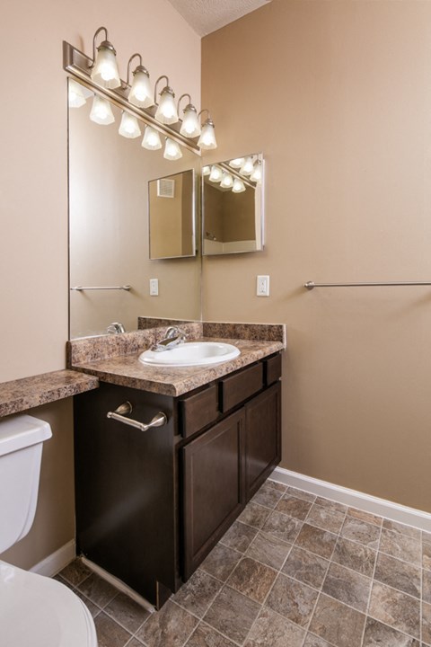 a bathroom with a sink and a mirror and a toilet