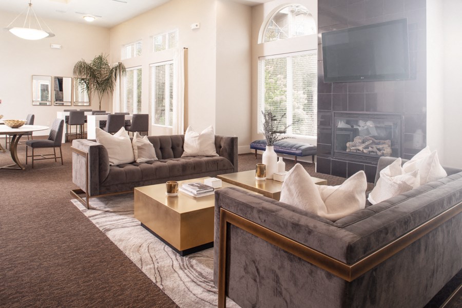 a living room with couches and a tv and a fireplace