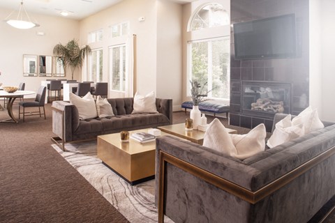 a living room with couches and a tv and a fireplace