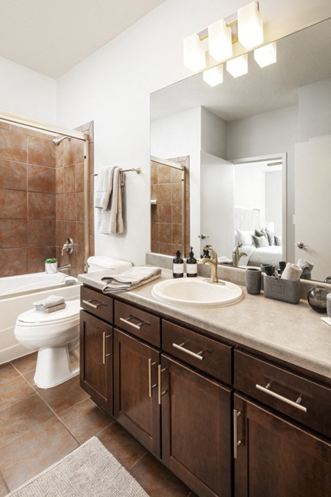 a bathroom with a sink and a toilet and a mirror