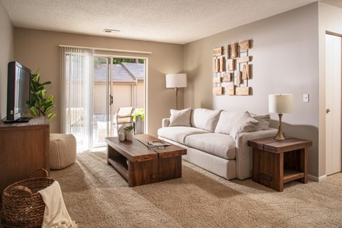 A living room with a couch, a coffee table, and a television.