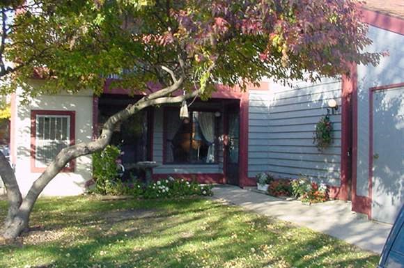 a house with a tree in the front of it