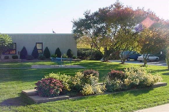 a yard with some plants and a building