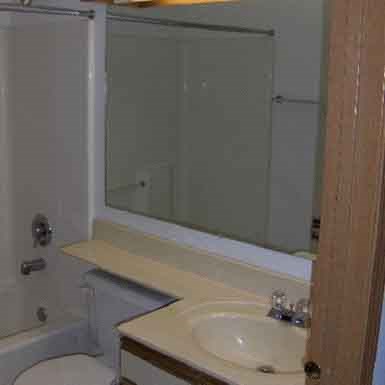 a bathroom with a sink and a toilet and a mirror