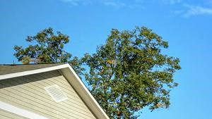 Pet Friendly Apartments For Rent In Watauga County Rentcafe