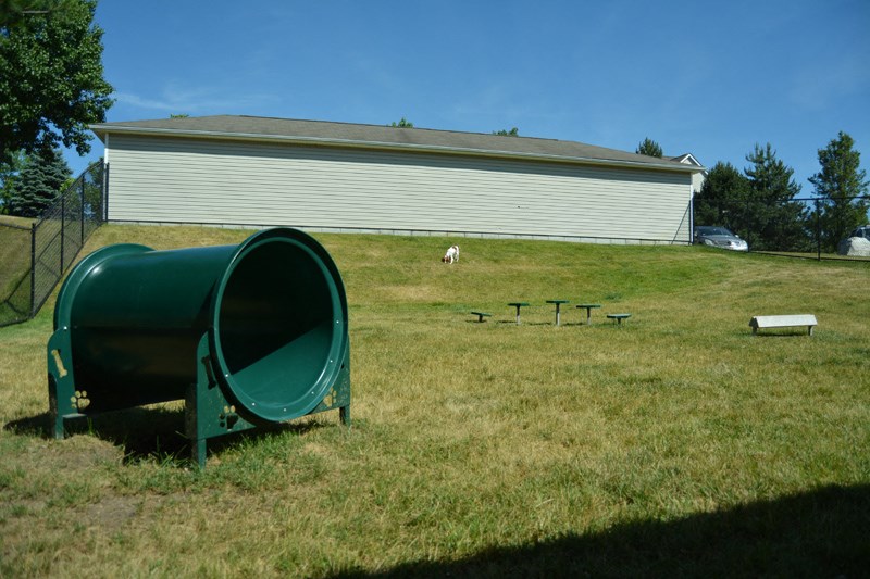 The Ledges Apartments Weymouth Pet Friendly Dog Park