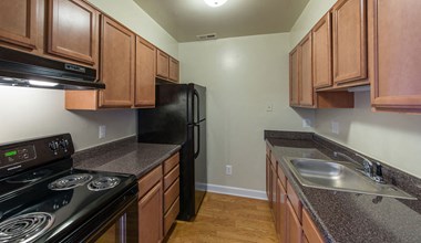 1100 Orleans Street #103 1-3 Beds Apartment for Rent