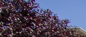 Blue Grass Manor Apartments In Erlanger Ky