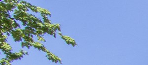 Red Bank Reserve Apartments In Cincinnati Oh