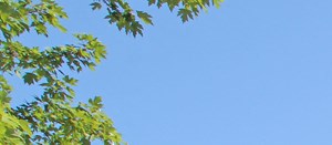 Trails Of Saddlebrook Apartments In Florence Ky