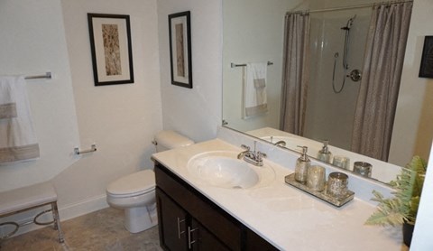 a bathroom with a sink and a toilet and a mirror