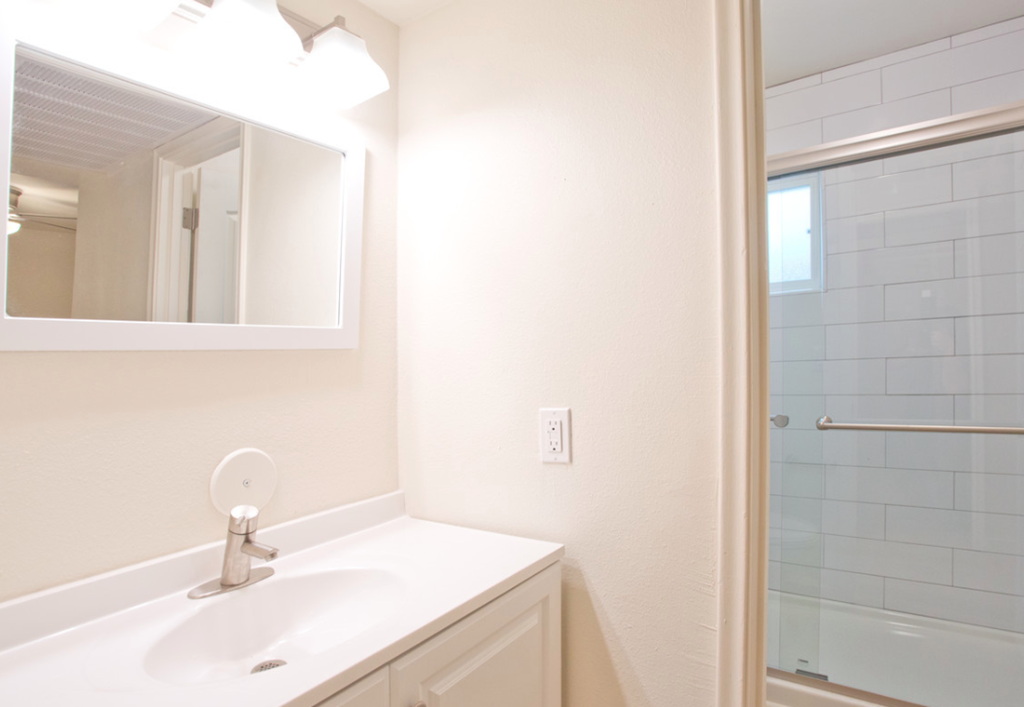 a bathroom with a sink and a mirror and a shower