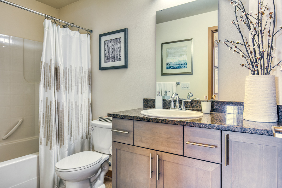 a bathroom with a sink and a toilet and a shower
