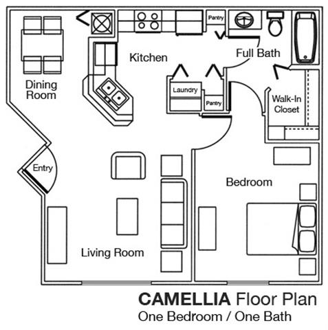 1 Bed 1 Bath Floor Plan