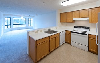 2009 Saint Thomas Drive 1 Bed Apartment, St. Charles for Rent - Photo Gallery 2