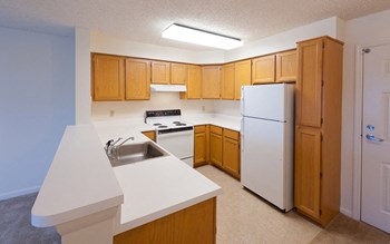 2009 Saint Thomas Drive 1 Bed Apartment, St. Charles for Rent - Photo Gallery 4
