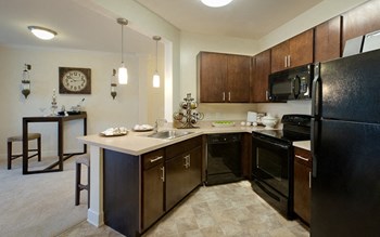 4872 Lichfield Place 1-2 Beds Apartment, St. Charles for Rent - Photo Gallery 6