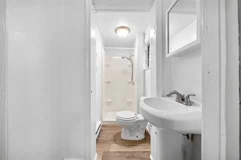 a bathroom with a sink and a toilet and a shower