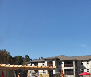 16000 Rushmore Avenue 1-3 Beds Apartment for Rent - Photo Gallery 3