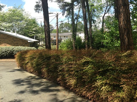 a street with trees and a house in the background
