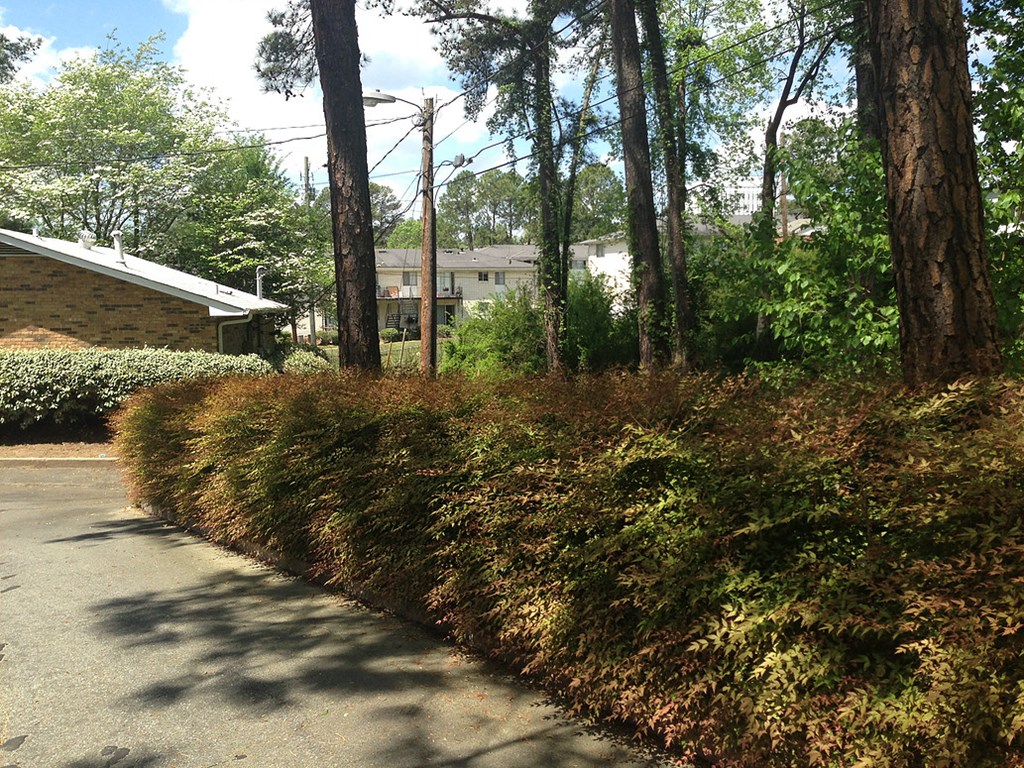 a street with trees and a house in the background