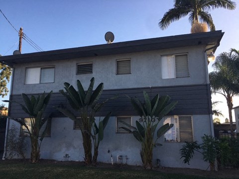 a white and black house with palm trees