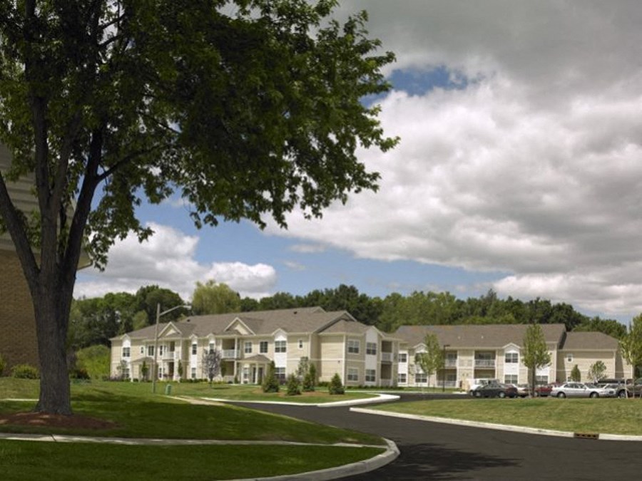 a street view of an apartment building with a tree