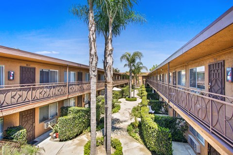 a courtyard with palm trees and a building with balconies