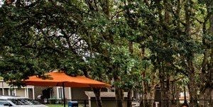 Steilacoom Apartments - Harbor Oaks Apartments - Pool Steilacoom Apartments - Harbor Oaks Apartments - Pool - Photo Gallery 3
