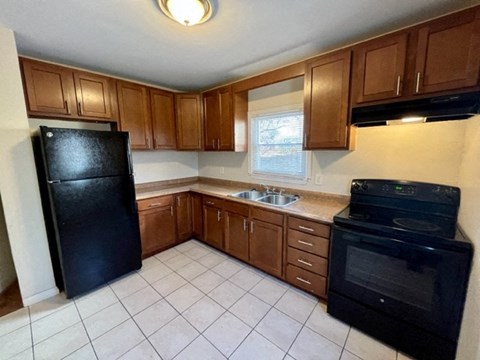 a kitchen with a black refrigerator and a sink
