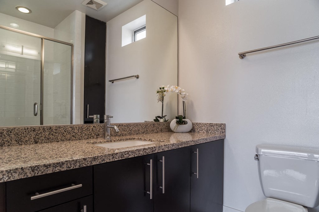 a bathroom with a sink and a toilet and a mirror